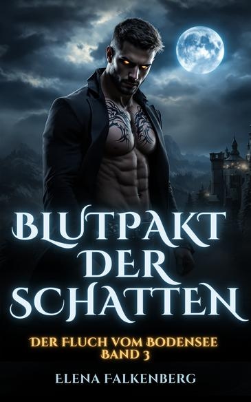 Book cover Blutpakt der Schatten - Band 3