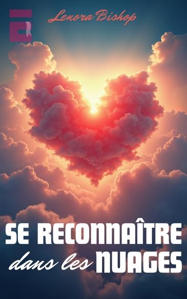 Novel