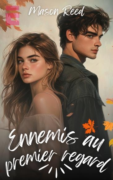 Novel